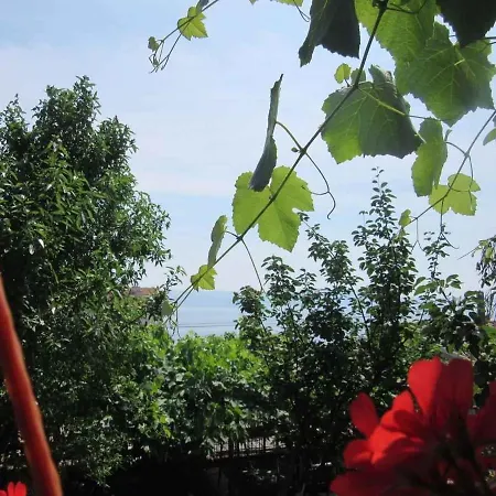 Apartment In 39135 Novi Vinodolski